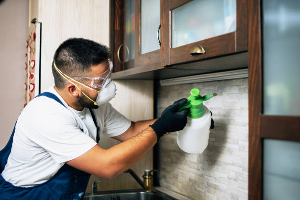 Best Exterminator Services  in Charleston, SC