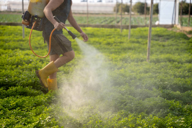 Best Commercial Pest Control Services  in Charleston, SC