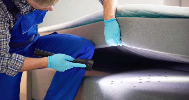 Best Pest Prevention Services  in Charleston, SC