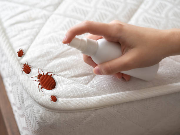Best Residential Pest Control  in Charleston, SC