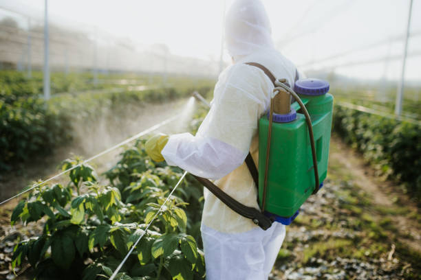 Best Local Pest Control Services  in Charleston, SC